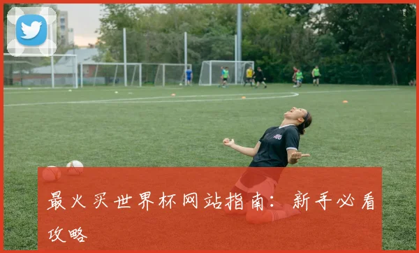 最火买世界杯网站指南：新手必看攻略
