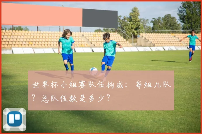 世界杯小组赛队伍构成:每组几队?总队伍数是多少?