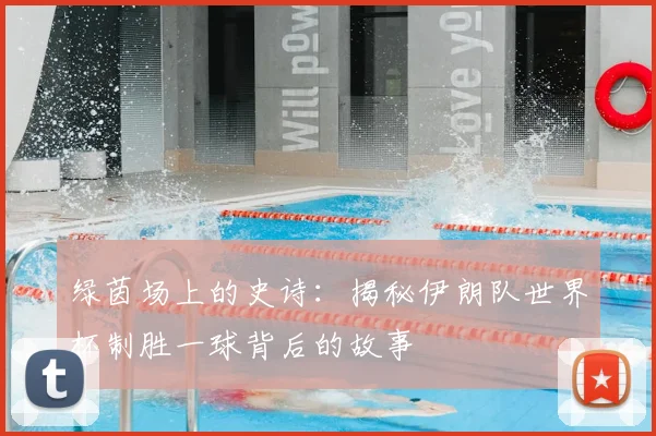 绿茵场上的史诗:揭秘伊朗队世界杯制胜一球背后的故事
