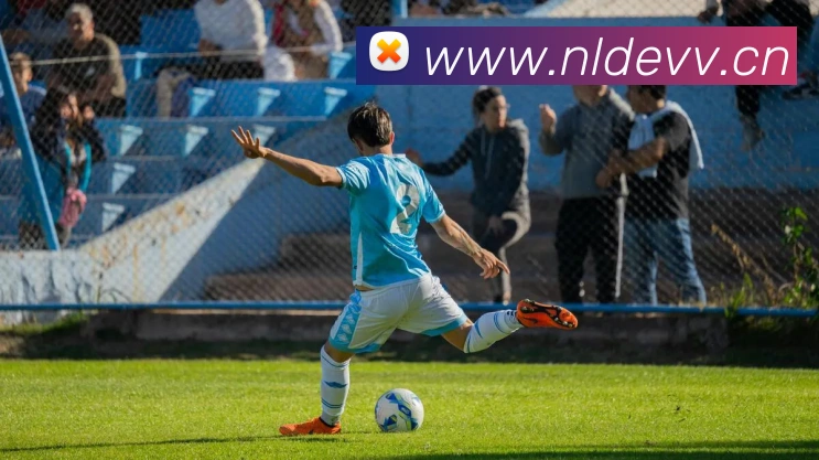 星空官方网页版登录平台生态图